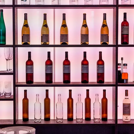 Airport Hotel Basel - Convenient & Friendly-3